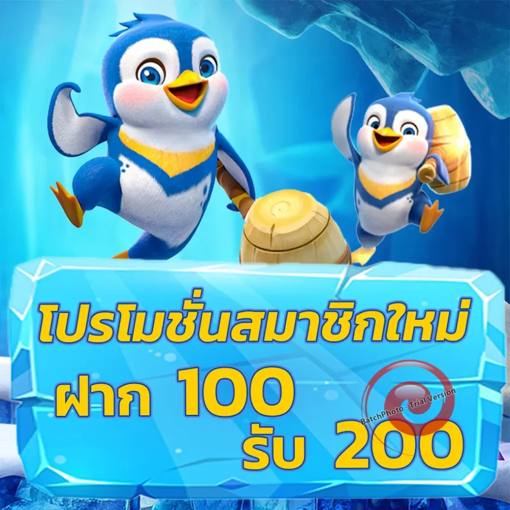 xo wins ไม่มีขั้นต่ำ